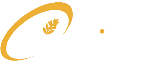 Orgalight Group | أورجالايت جروب